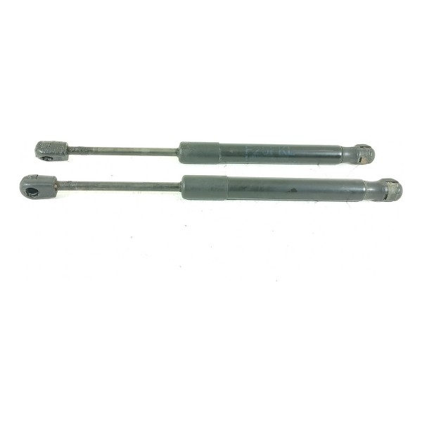 Amortecedor Tampa Traseira Bmw X3 X4 2012/2018 51237210727