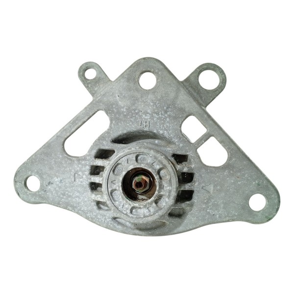 Amortecedor Mola Renegade 1.8 Traseira Esq 15/21 520288910