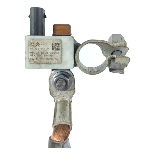 Cabo Sensor Negativo Bateria Cactus 2018/2024 9832931580