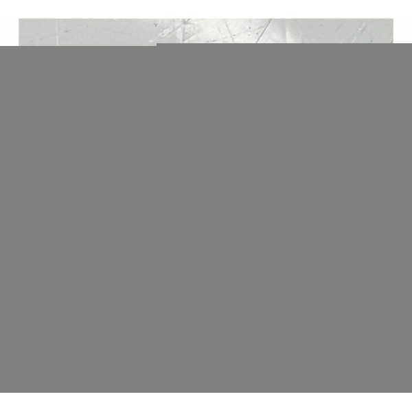 Amortecedor Capo Mercede C180 C200 2008/2014 026630265n