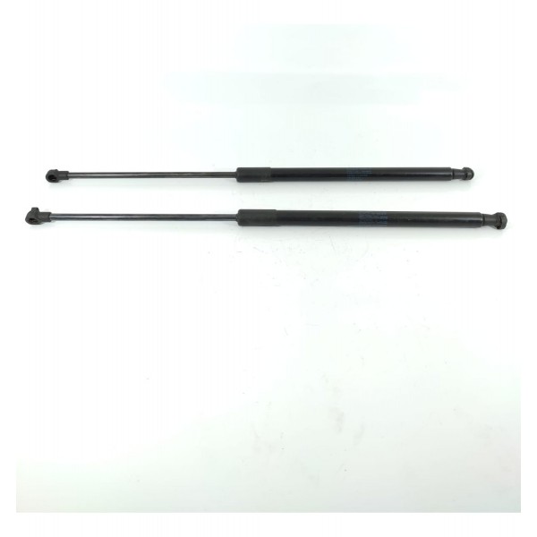 Par Amortecedor Tampa Traseira Cactus 9813913880