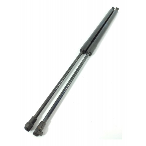 Par Amortecedor Tampa Traseira Cactus 9813913880