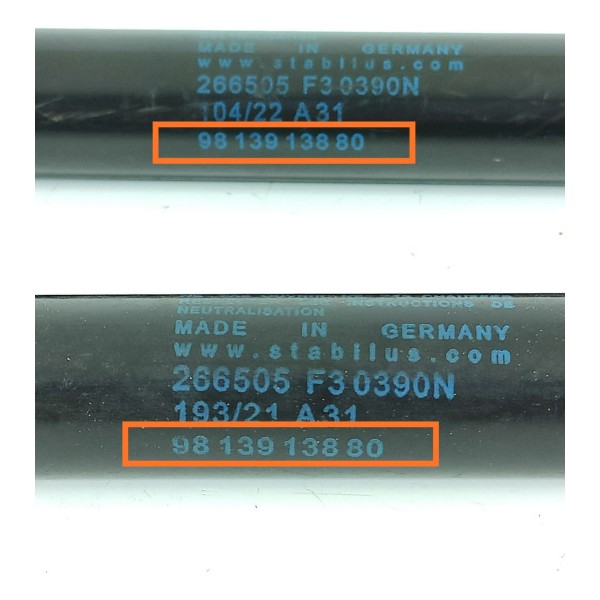 Par Amortecedor Tampa Traseira Cactus 9813913880