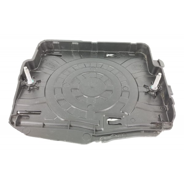 Capa Modulo Injecao Cactus 2018/2024 9801446580