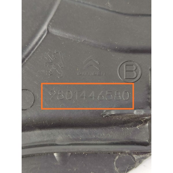 Capa Modulo Injecao Cactus 2018/2024 9801446580