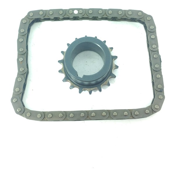 Engrenagem Virabrequim Corrente Cactus 2008 208 18/24 051383