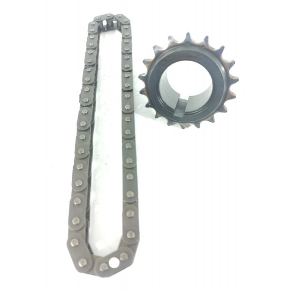 Engrenagem Virabrequim Corrente Cactus 2008 208 18/24 051383