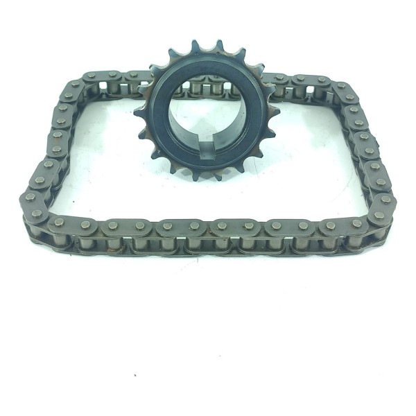 Engrenagem Virabrequim Corrente Cactus 2008 208 18/24 051383