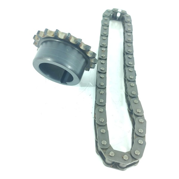 Engrenagem Virabrequim Corrente Cactus 2008 208 18/24 051383