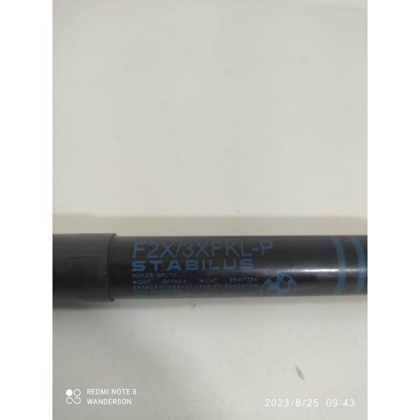 Amortecedor Capo Bmw 320i 328 2013/2018 512372392306