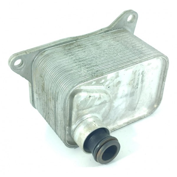 Resfriador Oleo Audi A3 A4 Q5 Jetta Tiguan 06l117021e