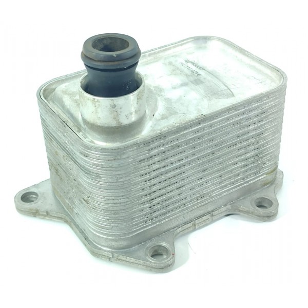 Resfriador Oleo Audi A3 A4 Q5 Jetta Tiguan 06l117021e