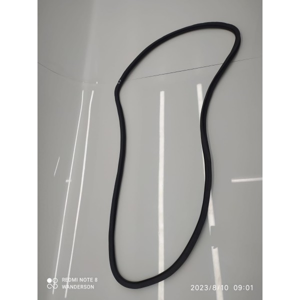 Borracha Porta Panamera Traseira D 2010/2019 Original /31321