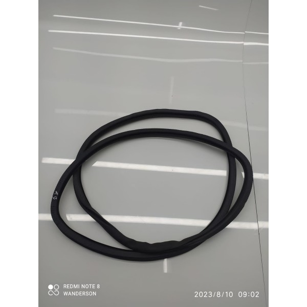Borracha Porta Panamera Traseira D 2010/2019 Original /31321