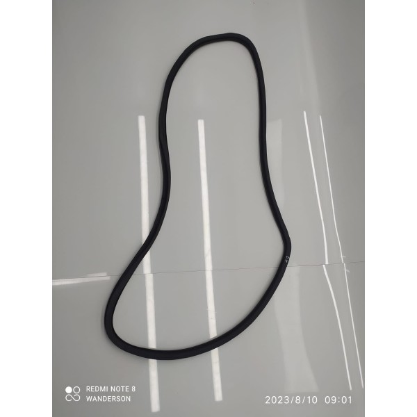 Borracha Porta Panamera Traseira D 2010/2019 Original /31321