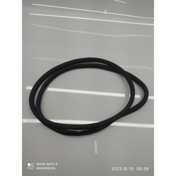 Borracha Porta Panamera Traseira Esq 2010/2019 Orig